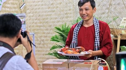 Transformación digital y cuestiones de gestión social en el Delta del Mekong