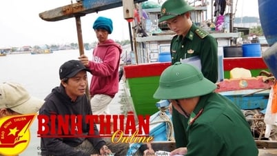 Quyết không cho xuất bến tàu cá không đảm bảo quy định