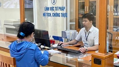 Предложение о создании дополнительных специализированных отделов для коммун, округов и особых зон с численностью населения более 60 000 человек