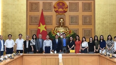 Phó Thủ tướng Bùi Thanh Sơn tiếp đoàn chuyên gia, nhà khoa học Việt Nam ở nước ngoài