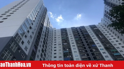 Quy định mới hỗ trợ nhà ở xã hội cho công chức xa chỗ làm