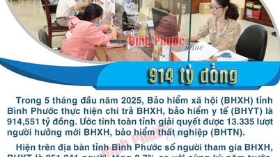 En cinco meses, Binh Phuoc pagó más de 914 mil millones de VND en seguros.