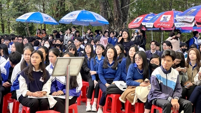 Admisiones 2025: Más escuelas abren nuevas carreras y agregan combinaciones de asignaturas