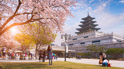 韓国旅行なら、ソウルで絶対に体験すべき10のこと