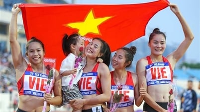 Thể thao Việt Nam hướng tới SEA Games và Olympic: Nhất cử lưỡng tiện