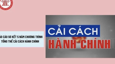 Kế hoạch Sơ kết 05 năm thực hiện Chương trình tổng thể cải cách hành chính nhà nước của Bộ VHTTDL
