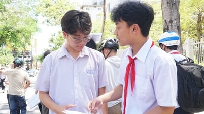 Los estudiantes de Da Nang se sienten aliviados con el tema del ensayo de décimo grado 'Persuadir a los padres para que los acompañen'