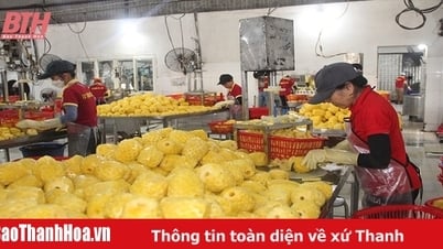 Đẩy mạnh chế biến sâu sản phẩm rau quả