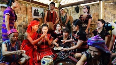 베트남 가족의 깊은 전통 문화적 가치를 존중합니다