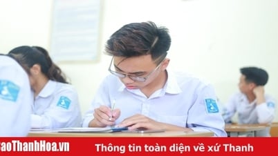 7 étapes importantes que les candidats doivent retenir pour éviter d'échouer injustement aux examens d'entrée à l'université