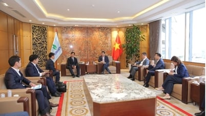 Petrovietnam und Sumitomo prüfen Zusammenarbeit bei der Entwicklung einer Lieferkette für Offshore-Windkraftprojekte