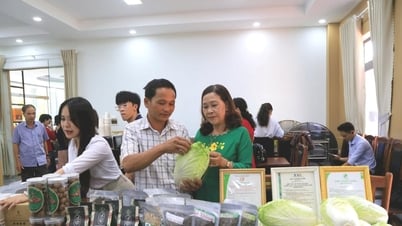 Développer des compétences d'auto-vente pour les agriculteurs de Dak Nong