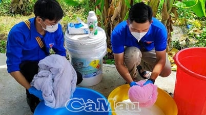 Para mantener los logros en la eliminación de la malaria