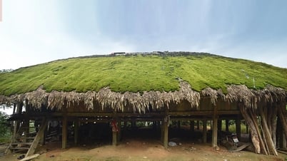 Khuổi My trong sương: Miền cổ tích trên sườn Tây Côn Lĩnh