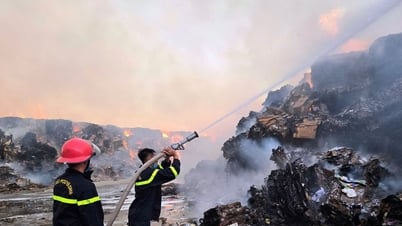 Mobilisation des forces maximales pour éteindre un important incendie dans une usine de papier à Ninh Binh