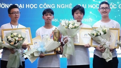 Da Nang students won the 2025 National Artificial Intelligence Olympiad