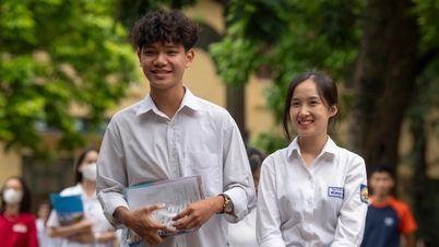 Preguntas y respuestas del examen de literatura de décimo grado, provincia de Thai Binh, año 2025