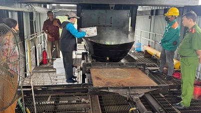 Bac Giang: Comercio de carne congelada de origen desconocido, un caso fue sancionado