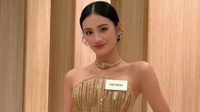 Trường đại học lên tiếng về con đường học tập của hoa hậu Ý Nhi