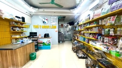 Tin tức đặc biệt trên báo in Hànộimới ngày 2-6-2025