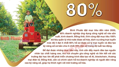 Bình Phước: đến năm 2030, 80% doanh nghiệp ứng dụng công nghệ số vào sản xuất, kinh doanh