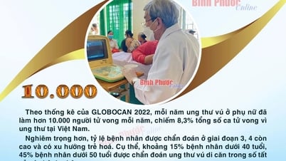 매년 유방암으로 인해 10,000명 이상의 베트남 여성이 사망합니다.