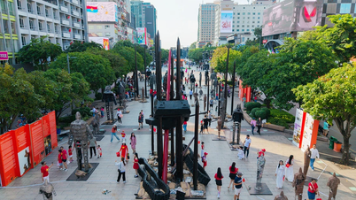 Le Huu Hieu and special exhibitions