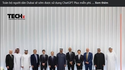 Правда об информации «одна страна предлагает бесплатный ChatGPT Plus всем гражданам»