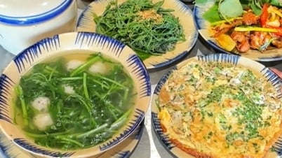 3 quả trứng chiên 110.000 đồng gây bão mạng: Quán cơm quê ở trung tâm TP.HCM xin lỗi