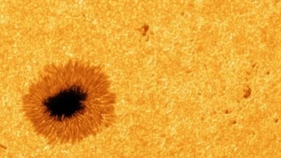 Erste 8K-Bilder der Sonne aufgenommen, die beispiellose Details über Sonnenflecken enthüllen