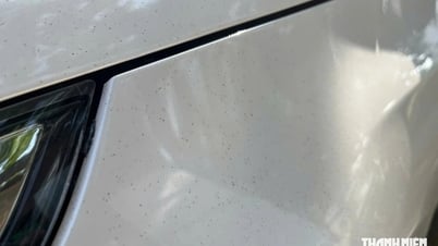 Tipps zum Entfernen kleiner Baumharzflecken auf Autooberflächen