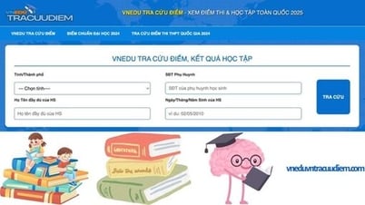 VnEduvnTracuuDiem.com で VnEdu のスコアと 6 年生の学習結果を調べる方法