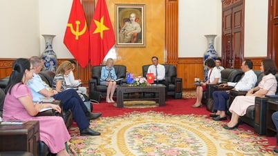 El presidente del Comité Popular de la Ciudad recibió al Embajador de Australia en Vietnam