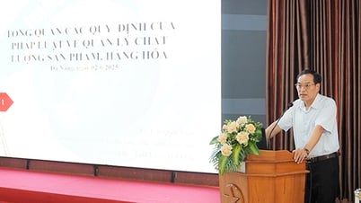 Da Nang : Formation pour améliorer les compétences en matière d'inspection de la qualité des produits