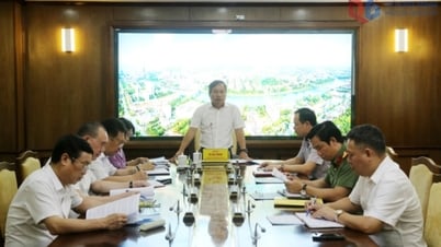 Họp Thường trực Ban Chỉ đạo phòng, chống tham nhũng, lãng phí, tiêu cực tỉnh