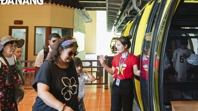 Đà Nẵng thu ngân sách 5 tháng tăng cao, đạt trên 13.000 tỷ đồng