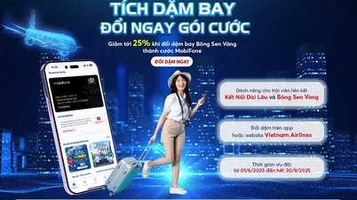 장기 약정 - 로열티 회원을 위한 MobiFone 및 Vietnam Airlines의 혜택