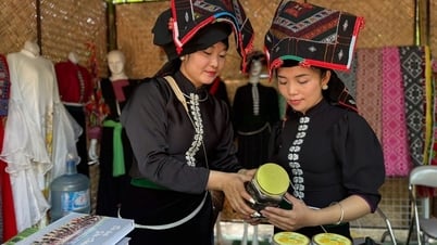 Empoderamiento de mujeres y grupos vulnerables en los negocios
