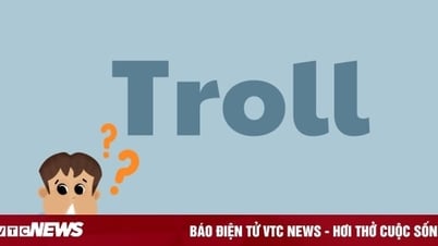คนเวียดนาม 90% เข้าใจผิดเกี่ยวกับคำว่า “Troll” จริงๆ แล้วหมายถึงอะไร?