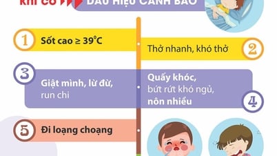 UBND tỉnh An Giang chỉ đạo tăng cường phòng, chống dịch bệnh