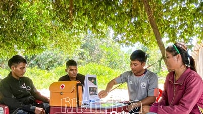 Số ca mắc sốt rét giảm sâu