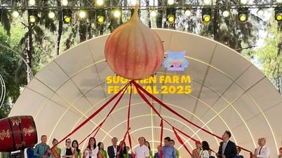 Festival de la Fruta del Sur 2025: Un destino especial en Ciudad Ho Chi Minh este verano