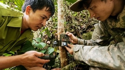 Mobiliser des ressources pour conserver et développer la faune rare et précieuse