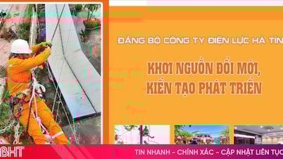 Đảng bộ Công ty Điện lực Hà Tĩnh: Khơi nguồn đổi mới, kiến tạo phát triển