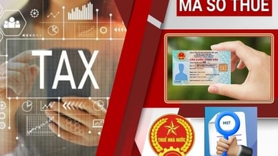 Использование персонального идентификационного номера вместо налогового кода с 1 июля 2025 года: Примечание для налогоплательщиков