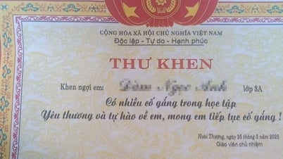 Специальная «Почетная грамота»
