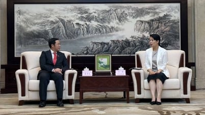 ブイ・グエン・ロン総領事は重慶市外務弁公室の王文室長と会談した。