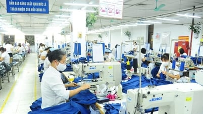Exportation durable avec des normes de marché élevées