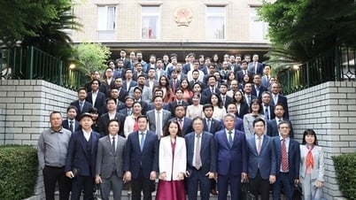 Phó Thủ tướng Nguyễn Chí Dũng: Cộng đồng trí thức Việt Nam tại Nhật là cầu nối chiến lược phát triển KHCN,ĐMST&CĐS