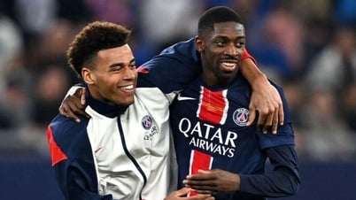 Đội hình tiêu biểu Champions League: PSG áp đảo, nhiều ngôi sao vắng bóng